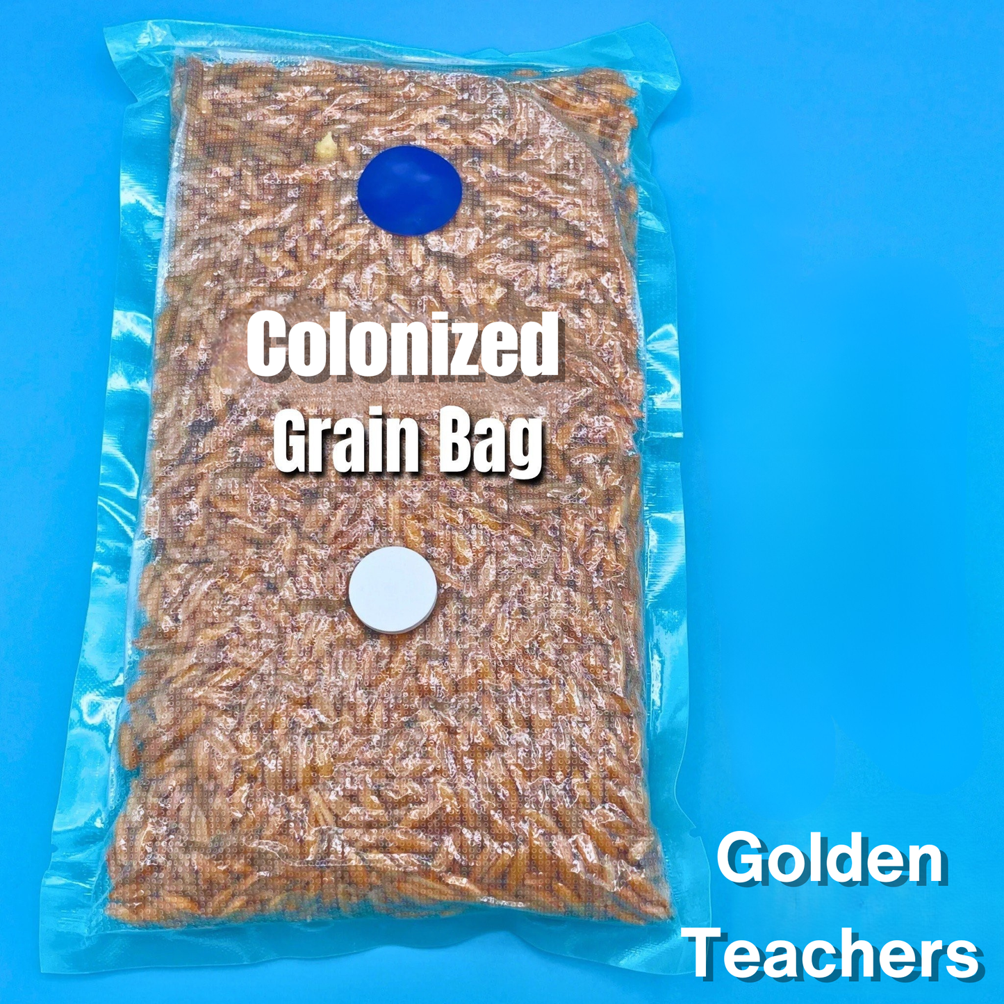 Golden Collection Grain