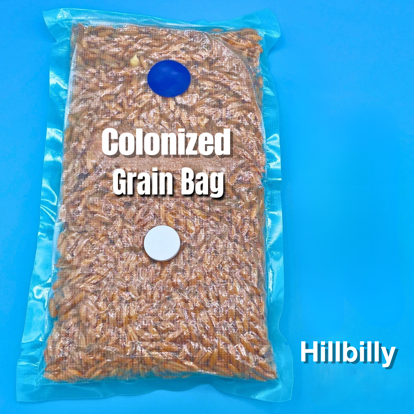 Hillbilly Collection Grain