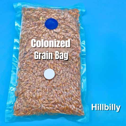 Hillbilly Collection Grain